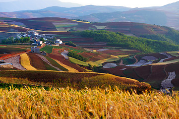 Image showing China rural landscape