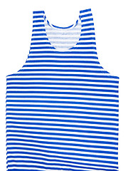 Image showing striped blue and white vest