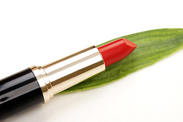 Image showing glamor red shiny lipstick and green leaf