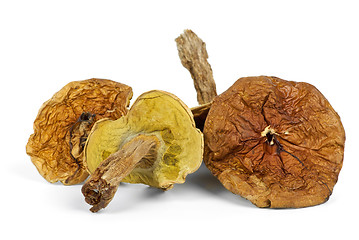 Image showing Four dried cepe mushrooms