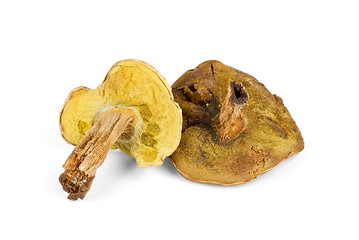 Image showing Two dried mushrooms