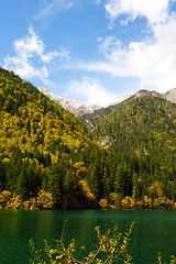 Image showing Forest and lake landscape of China jiuzhaigou