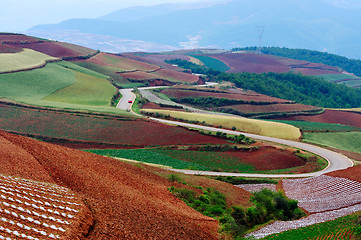 Image showing Red land