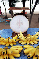 Image showing Bananas