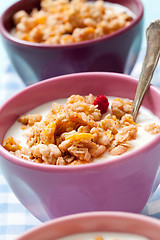 Image showing Breakfast cereal