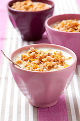 Image showing Breakfast cereal