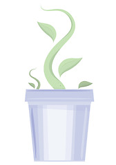 Image showing Flower pot with the germ