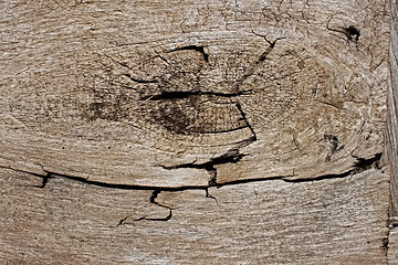 Image showing Fragment of old wooden board
