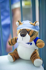 Image showing Stuffed animals dressed in operating room attire are often given to pediatric patients to help them cope with their surgery. A tiger wears a scrub hat. (High resolution,14MP camera)