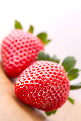 Image showing Fresh strawberries