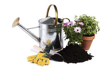 Image showing Gardening