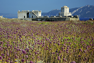 Image showing Purple Castle