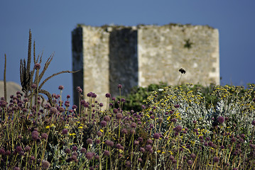 Image showing Old Castle