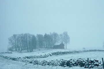 Image showing Winterlandscape