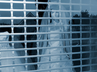 Image showing Bride behind bars