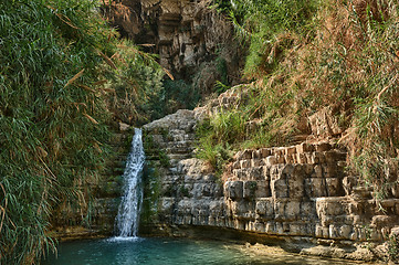 Image showing Ein Gedi Nature Reserve off the coast of the Dead Sea