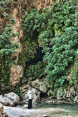 Image showing Ein Gedi Nature Reserve off the coast of the Dead Sea