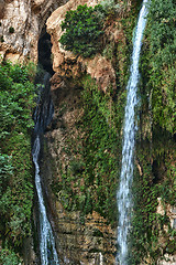 Image showing Ein Gedi Nature Reserve off the coast of the Dead Sea