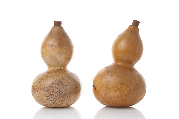 Image showing Gourds