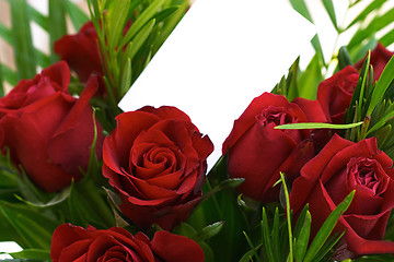Image showing Red roses and greeting card 5
