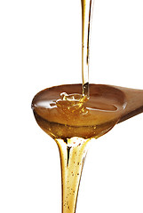 Image showing 	Spoon of honey