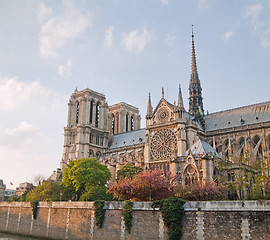 Image showing Notre Dame de Paris in spring time