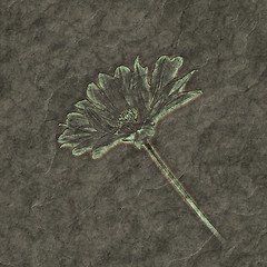 Image showing petrified flower