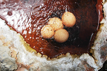 Image showing Eggs in hot spring