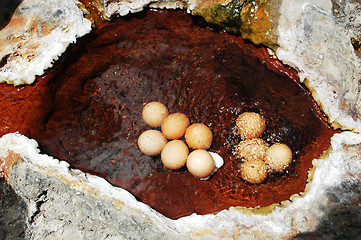Image showing Eggs in hot spring