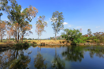 Image showing wetland