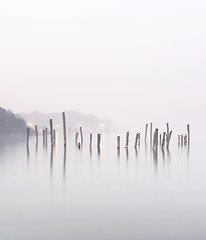 Image showing wood in water