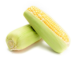 Image showing corn