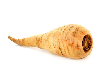 Image showing Parsnip