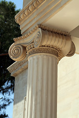 Image showing Ionic column