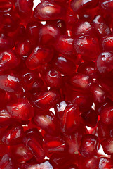 Image showing Pomegranate 