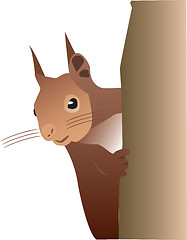 Image showing squirel