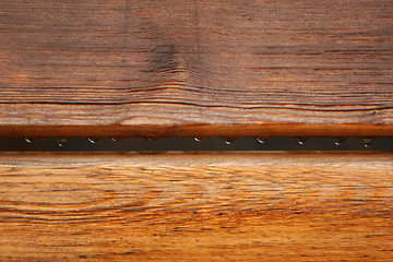 Image showing Wet wood