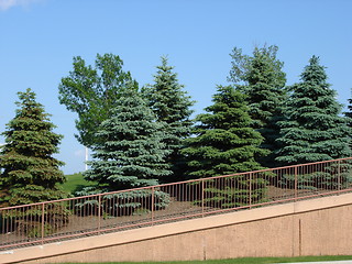 Image showing Trees along the way