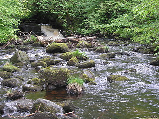 Image showing Glenariff river