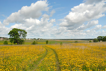 Image showing landscape