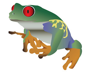 Image showing grenouille