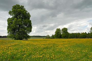 Image showing landscape