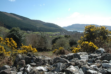 Image showing Old impoundment ditch