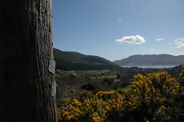 Image showing Rostrevor pole