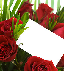 Image showing Red roses and greeting card 4