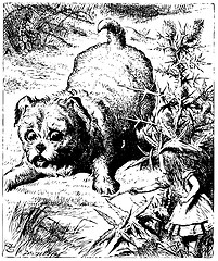 Image showing Alice and the giant Puppy