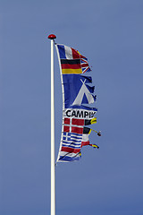 Image showing Torn flag