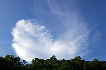 Image showing Cloud over forest