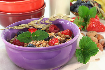 Image showing Fruit Muesli