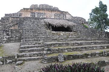 Image showing Chacchoben Mayan Ruins